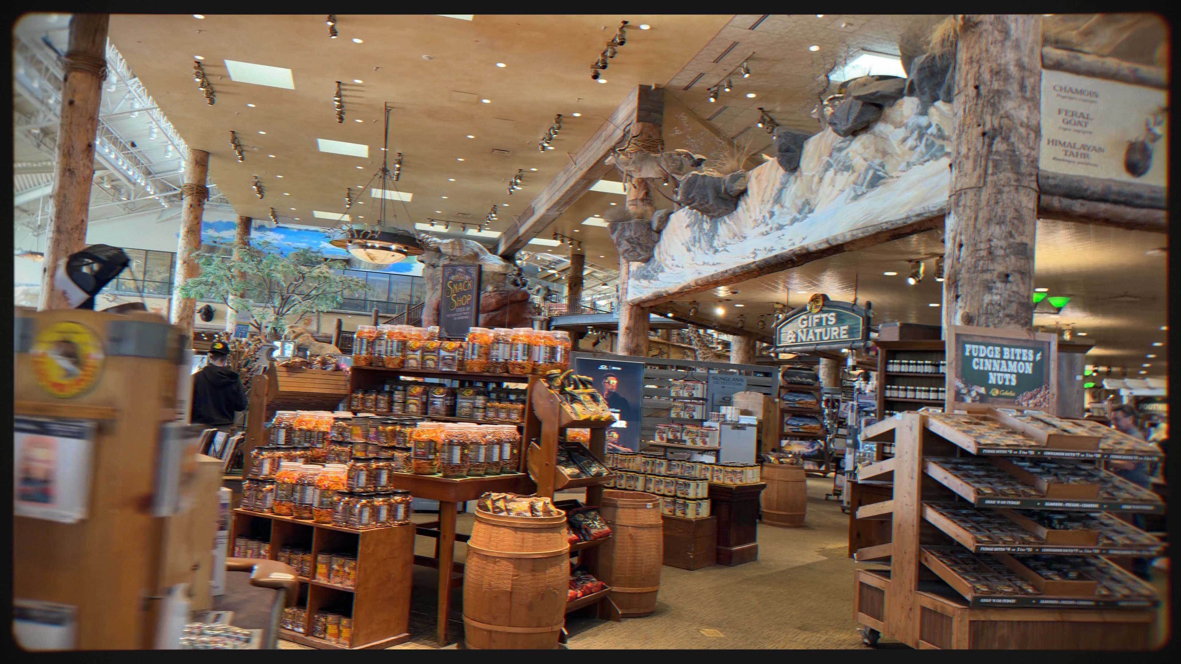 Bass Pro Shop - an unmissable stop for UK visitors to the US